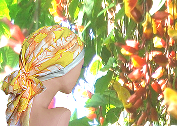 slide-ft-sunflower.png